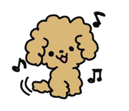 Toy poodle choa sticker #8594120