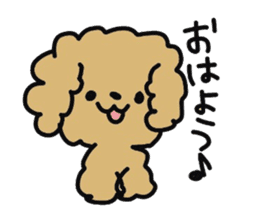 Toy poodle choa sticker #8594122