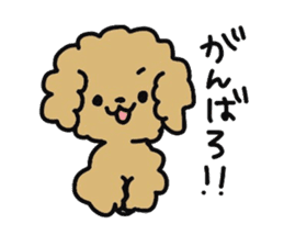 Toy poodle choa sticker #8594125