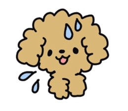 Toy poodle choa sticker #8594126