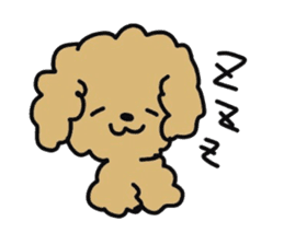 Toy poodle choa sticker #8594130