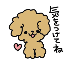 Toy poodle choa sticker #8594131