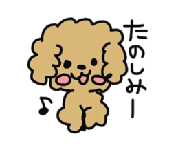 Toy poodle choa sticker #8594132