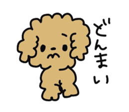 Toy poodle choa sticker #8594135