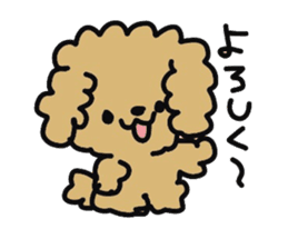 Toy poodle choa sticker #8594136