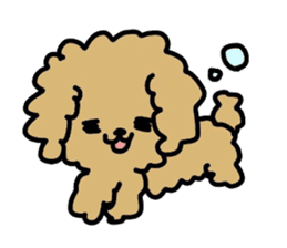 Toy poodle choa sticker #8594137