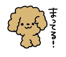 Toy poodle choa sticker #8594138