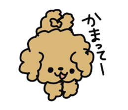 Toy poodle choa sticker #8594139