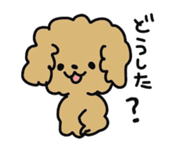 Toy poodle choa sticker #8594141