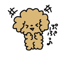 Toy poodle choa sticker #8594143