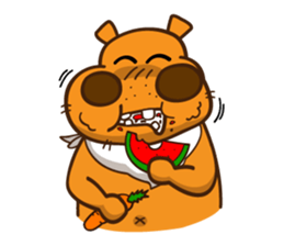 Crazy Hippo2 (Don't Worry Be Crazy) ENG sticker #8595131