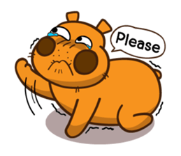 Crazy Hippo2 (Don't Worry Be Crazy) ENG sticker #8595138