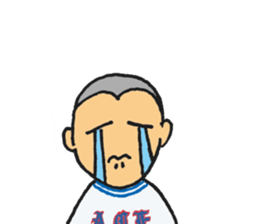 Little aces...baseball boys sticker #8596069