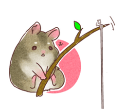 My pretty hamsters 2 sticker #8596308