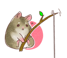 My pretty hamsters 2 sticker #8596308