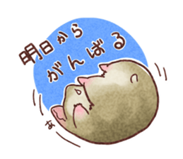 My pretty hamsters 2 sticker #8596331
