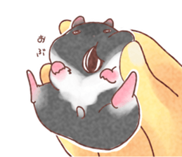 My pretty hamsters 2 sticker #8596336