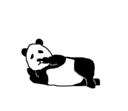 Very Cute Pandasan sticker #8597610