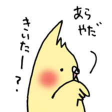 Cockatiel  Ringochan sticker #8598132