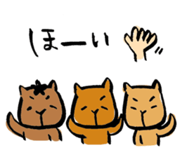 Continued capybara chan us sticker #8599206