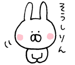 Mr. rabbit of Mikawa valve sticker #8599661