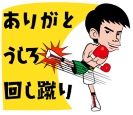 a professionalboxer-KOSEI TANAKA Sticker sticker #8599855