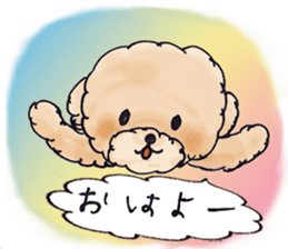 Lili of Toy Poodle sticker #8600338