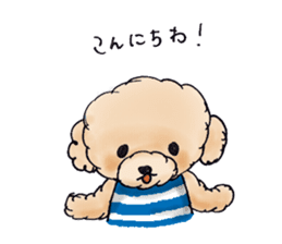 Lili of Toy Poodle sticker #8600339