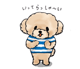 Lili of Toy Poodle sticker #8600340
