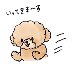 Lili of Toy Poodle sticker #8600341