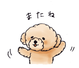 Lili of Toy Poodle sticker #8600342