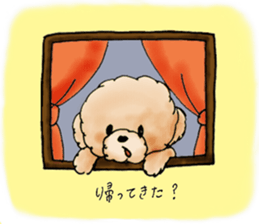 Lili of Toy Poodle sticker #8600344