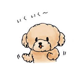 Lili of Toy Poodle sticker #8600348