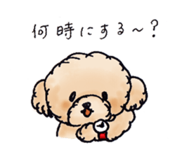 Lili of Toy Poodle sticker #8600349