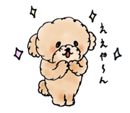 Lili of Toy Poodle sticker #8600350