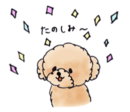 Lili of Toy Poodle sticker #8600352