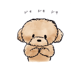 Lili of Toy Poodle sticker #8600354
