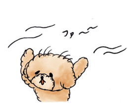 Lili of Toy Poodle sticker #8600355