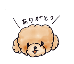 Lili of Toy Poodle sticker #8600356