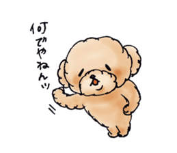Lili of Toy Poodle sticker #8600357