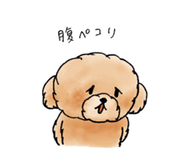 Lili of Toy Poodle sticker #8600359