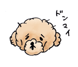 Lili of Toy Poodle sticker #8600361