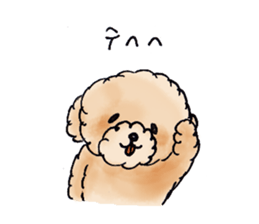 Lili of Toy Poodle sticker #8600362