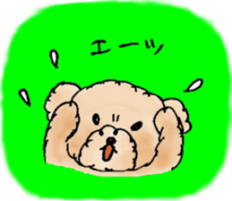 Lili of Toy Poodle sticker #8600363