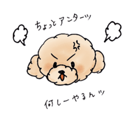 Lili of Toy Poodle sticker #8600366