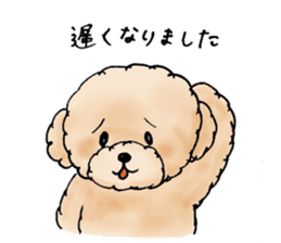 Lili of Toy Poodle sticker #8600368