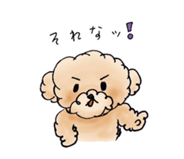 Lili of Toy Poodle sticker #8600369