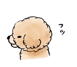 Lili of Toy Poodle sticker #8600370