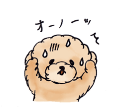 Lili of Toy Poodle sticker #8600372