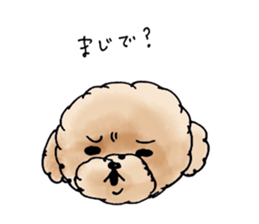 Lili of Toy Poodle sticker #8600373